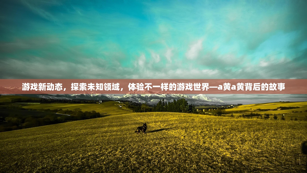 游戏新动态，探索未知领域，体验不一样的游戏世界—a黄a黄背后的故事