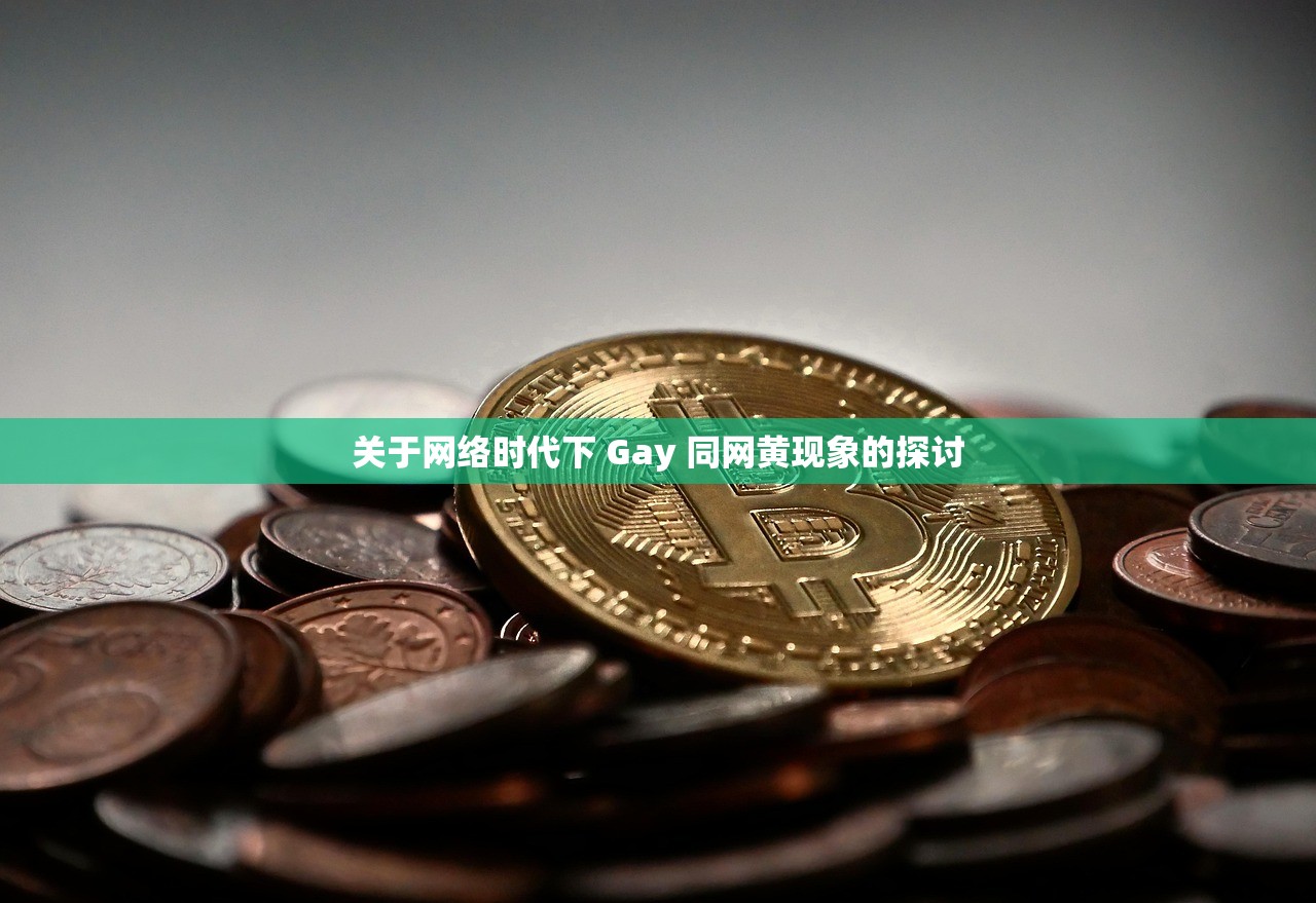 关于网络时代下 Gay 同网黄现象的探讨
