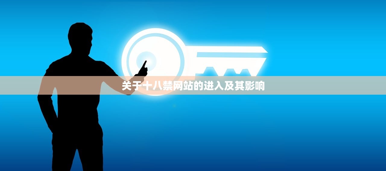 关于十八禁网站的进入及其影响