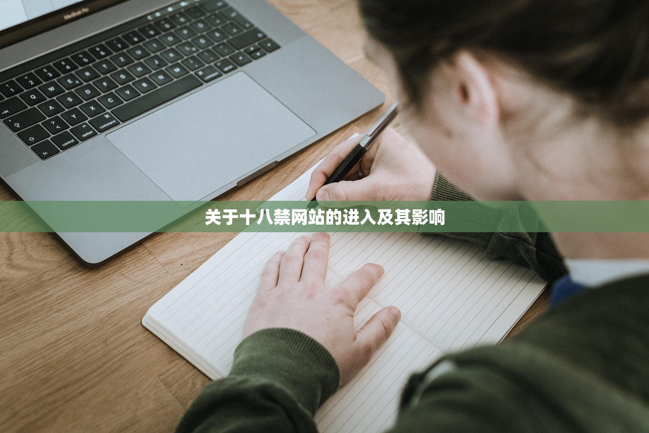 关于十八禁网站的进入及其影响
