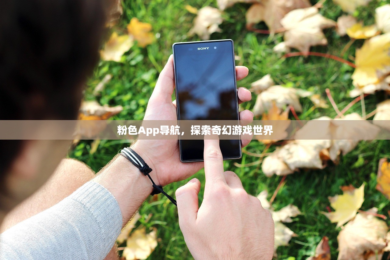 粉色App导航，探索奇幻游戏世界