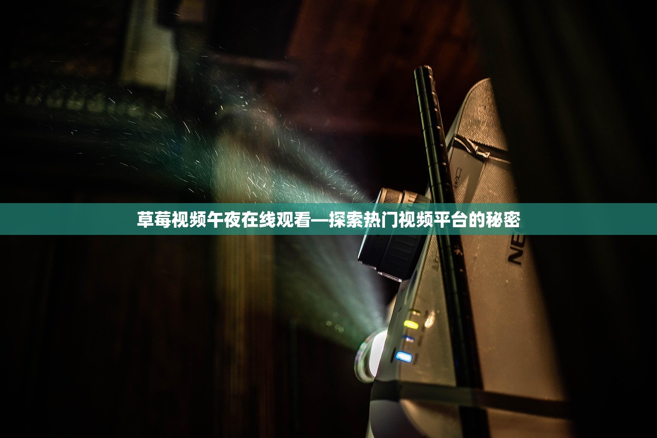 草莓视频午夜在线观看—探索热门视频平台的秘密