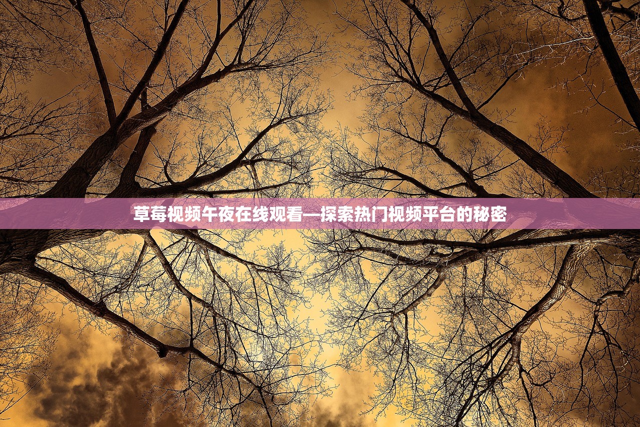 草莓视频午夜在线观看—探索热门视频平台的秘密
