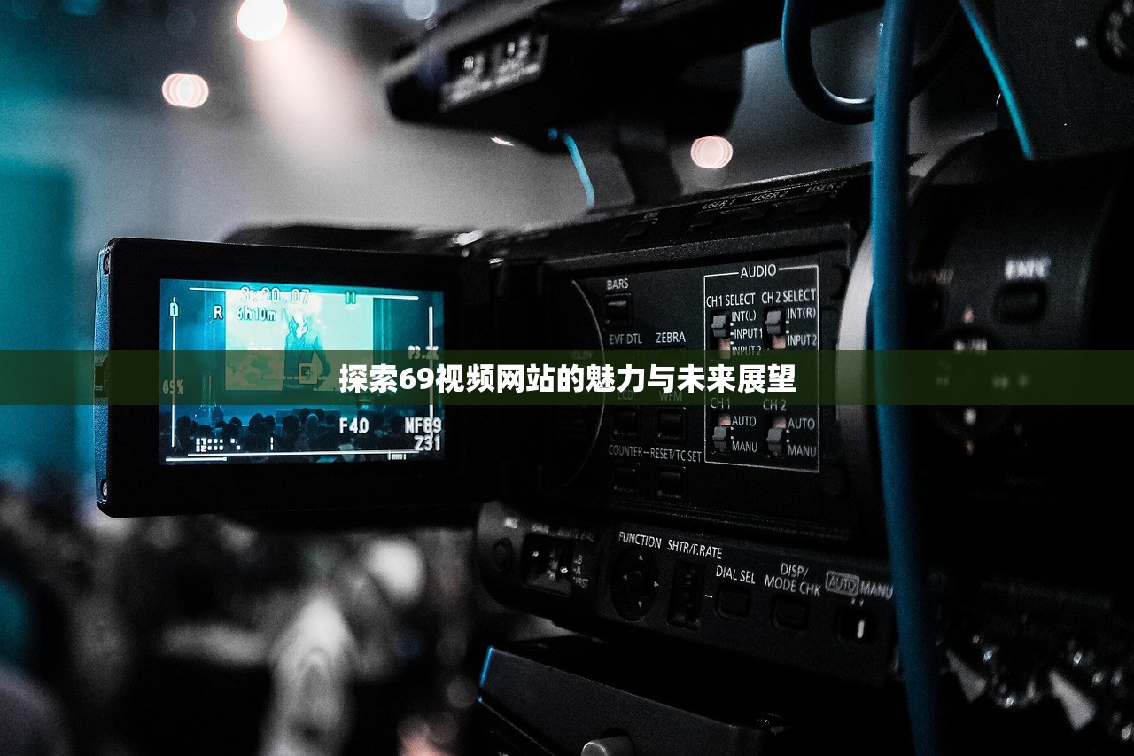 探索69视频网站的魅力与未来展望
