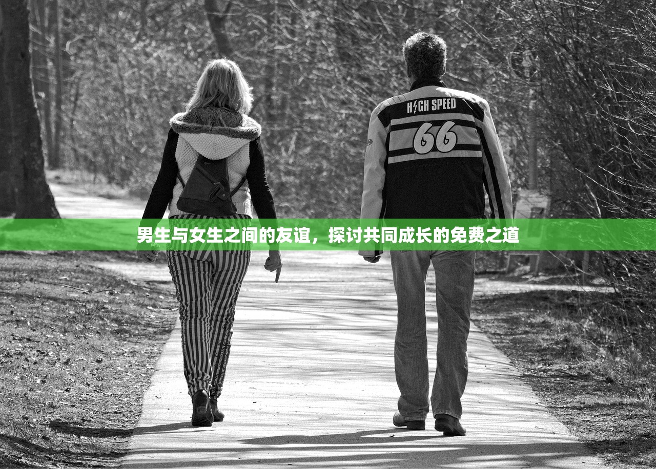 男生与女生之间的友谊，探讨共同成长的免费之道