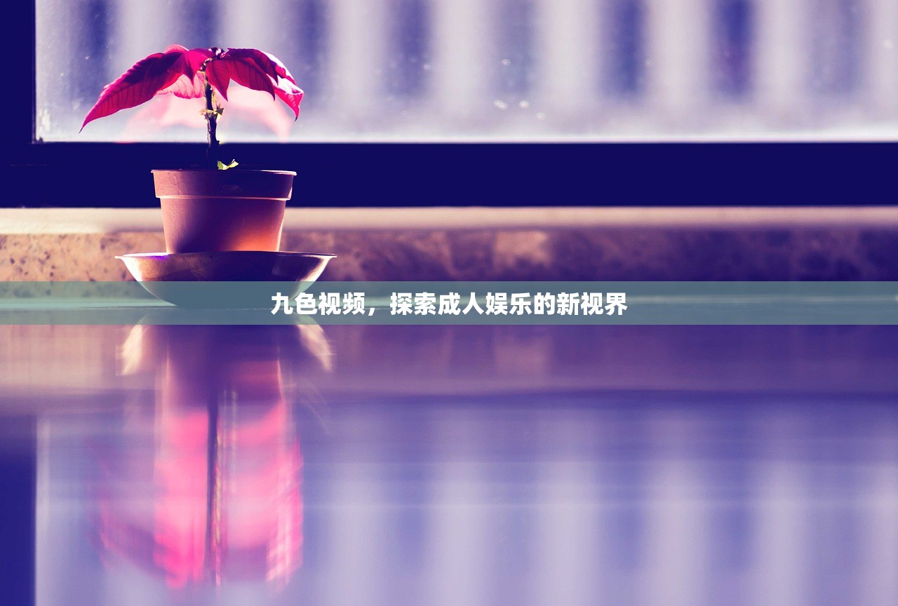 九色视频，探索成人娱乐的新视界