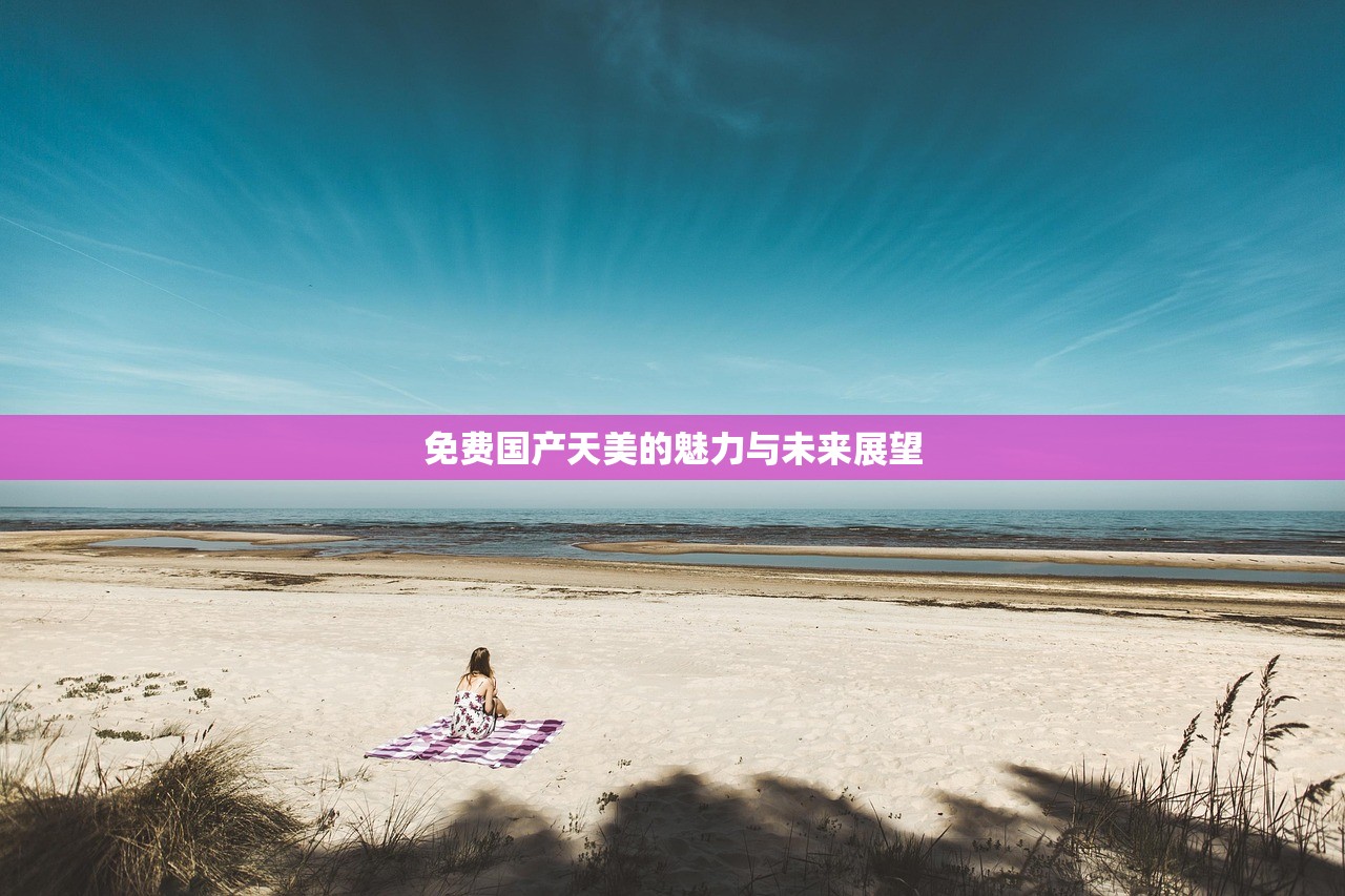 免费国产天美的魅力与未来展望