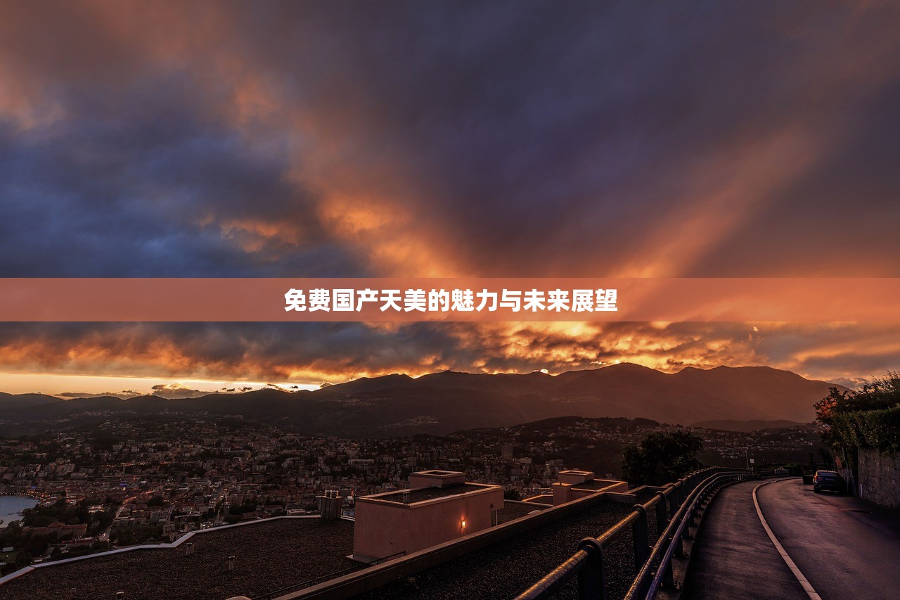 免费国产天美的魅力与未来展望