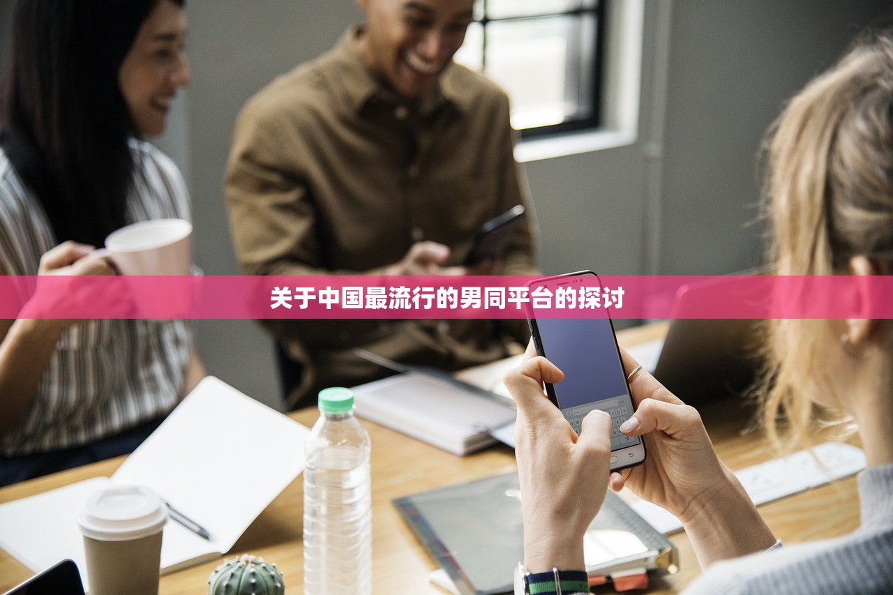 关于中国最流行的男同平台的探讨