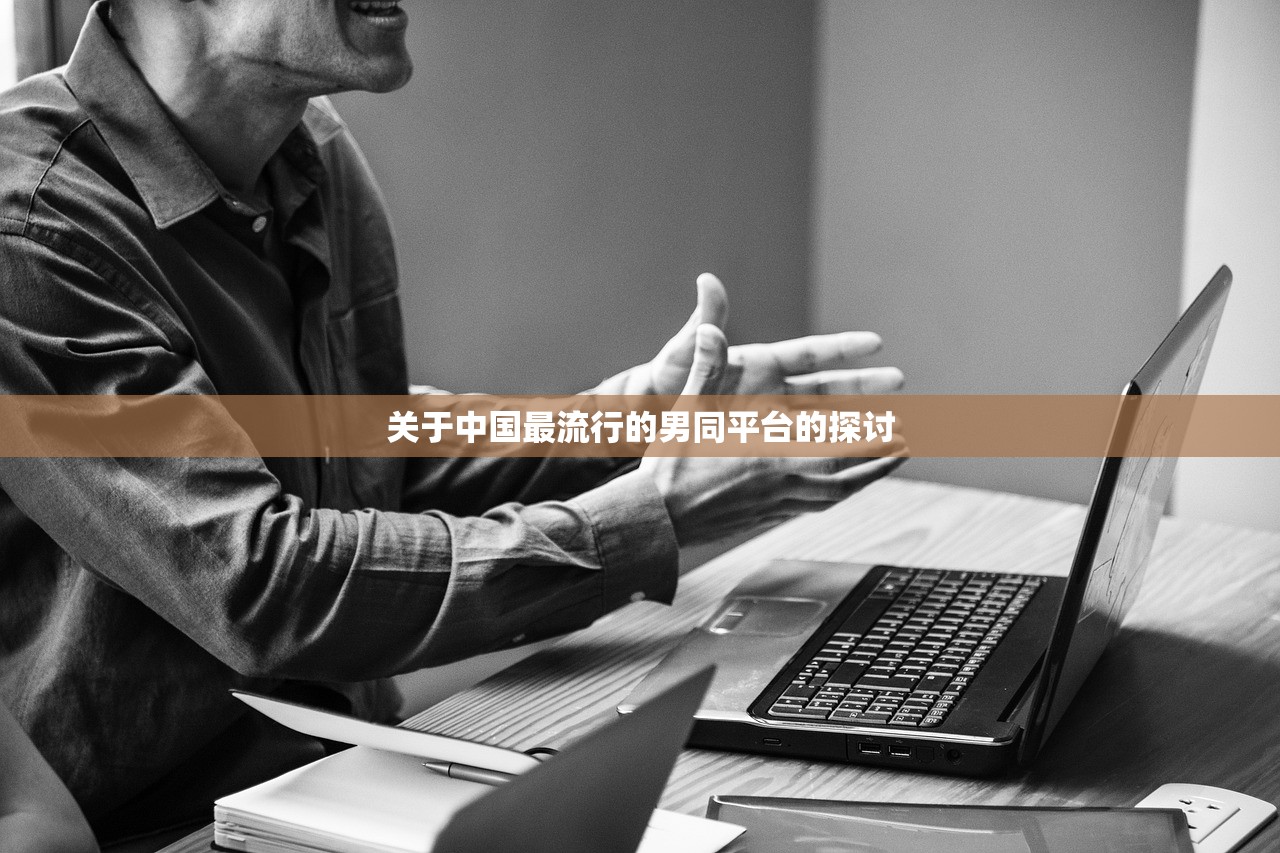 关于中国最流行的男同平台的探讨