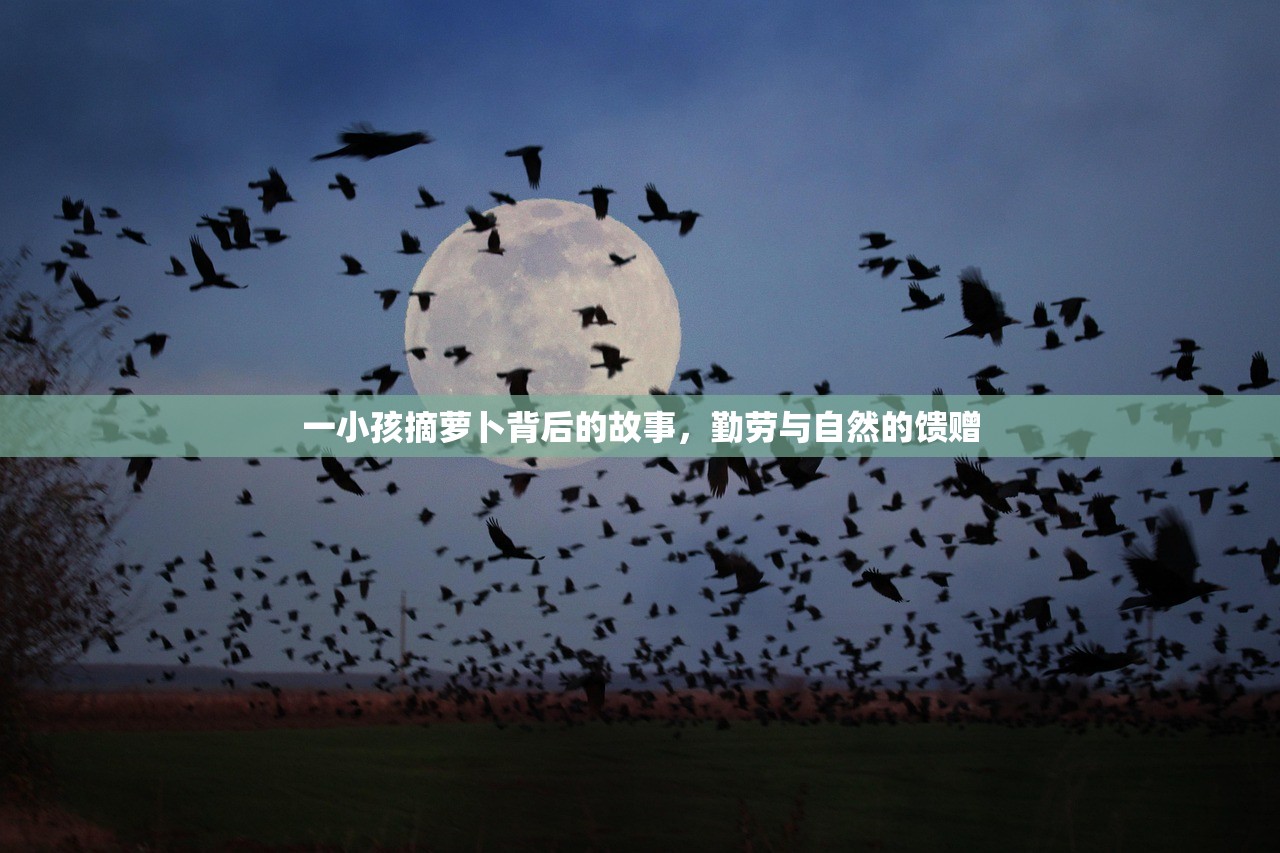 一小孩摘萝卜背后的故事，勤劳与自然的馈赠
