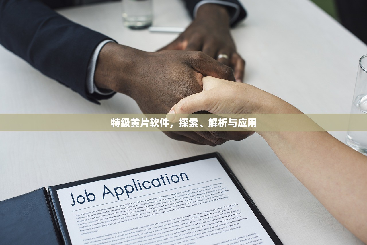 特级黄片软件，探索、解析与应用
