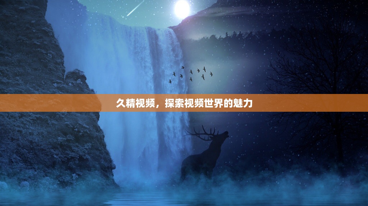 久精视频，探索视频世界的魅力