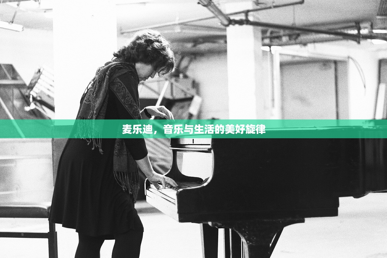 麦乐迪，音乐与生活的美好旋律