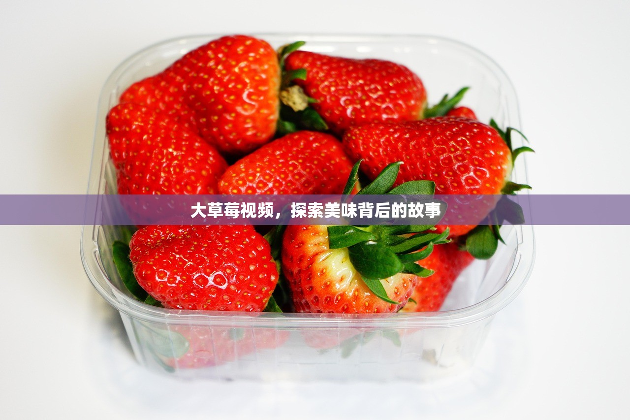 大草莓视频，探索美味背后的故事