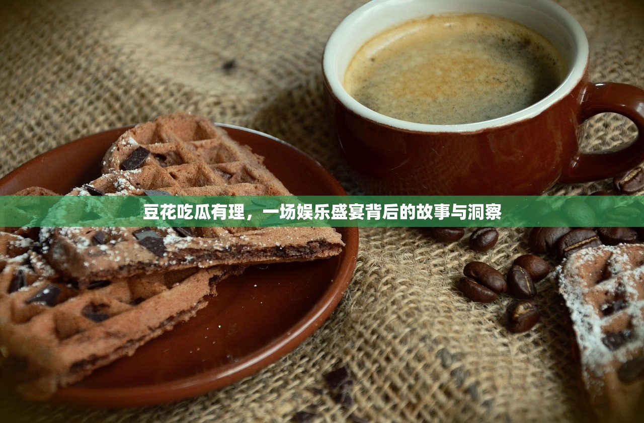 豆花吃瓜有理，一场娱乐盛宴背后的故事与洞察