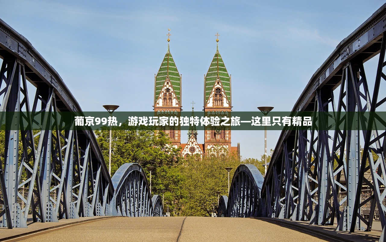 葡京99热，游戏玩家的独特体验之旅—这里只有精品