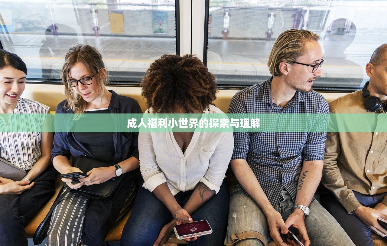 成人福利小世界的探索与理解