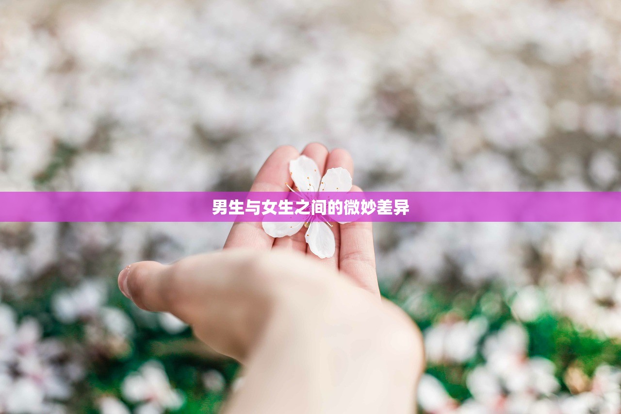 男生与女生之间的微妙差异