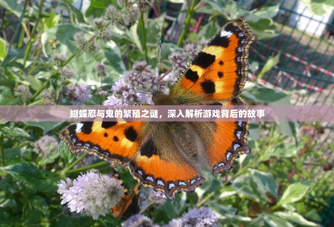蝴蝶忍与鬼的繁殖之谜，深入解析游戏背后的故事