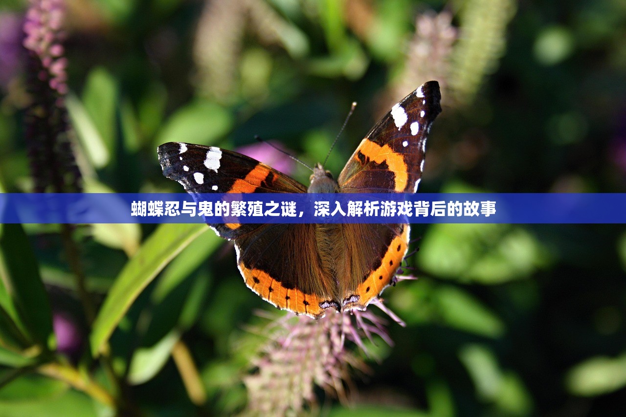 蝴蝶忍与鬼的繁殖之谜，深入解析游戏背后的故事