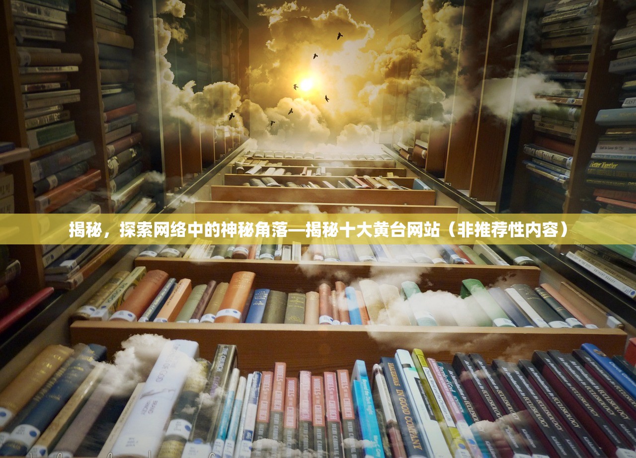 揭秘，探索网络中的神秘角落—揭秘十大黄台网站（非推荐性内容）