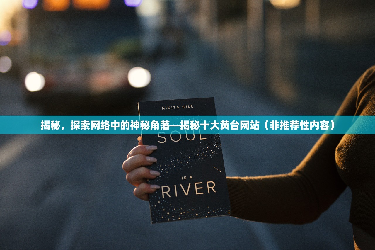 揭秘，探索网络中的神秘角落—揭秘十大黄台网站（非推荐性内容）