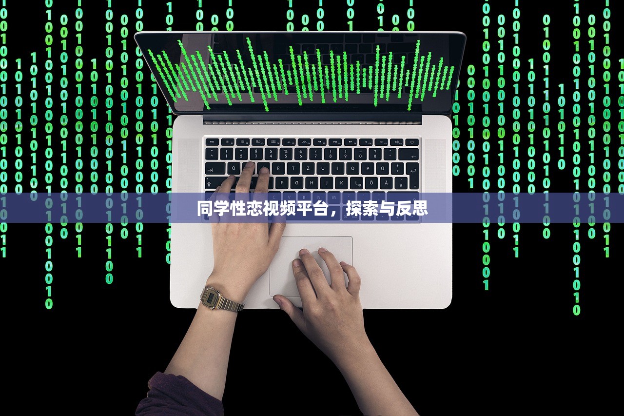 同学性恋视频平台，探索与反思
