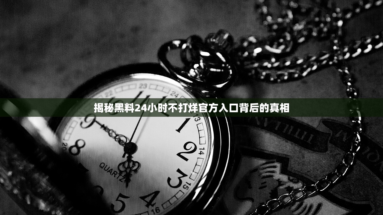 揭秘黑料24小时不打烊官方入口背后的真相