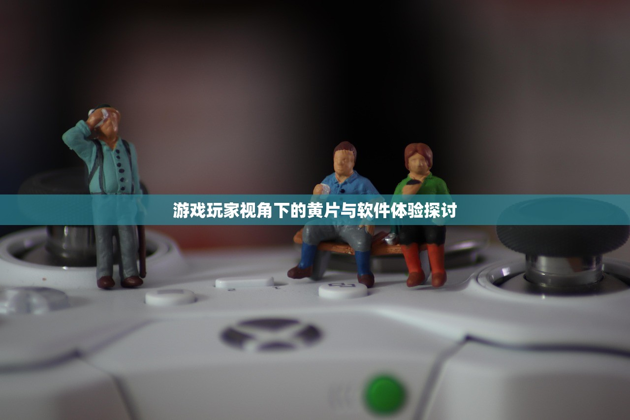 游戏玩家视角下的黄片与软件体验探讨