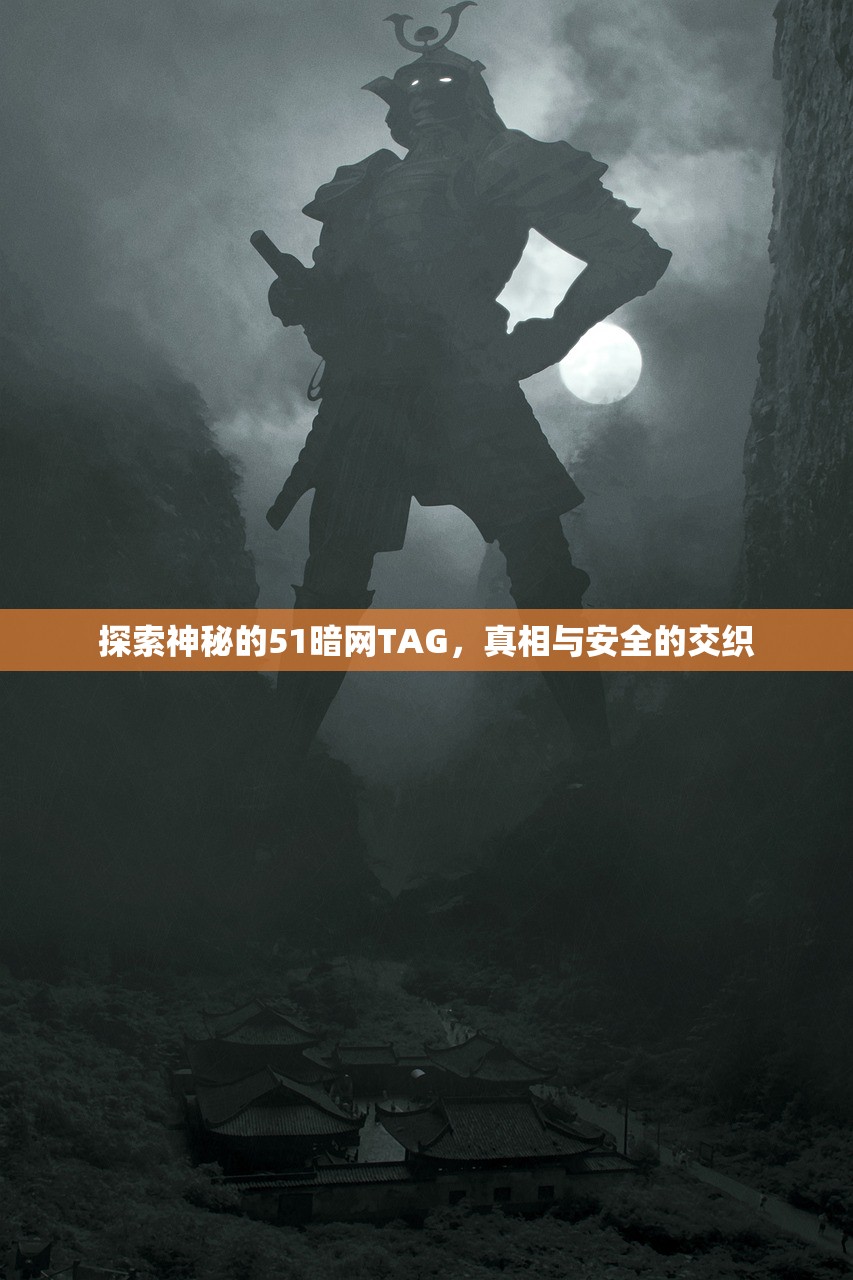 探索神秘的51暗网TAG，真相与安全的交织