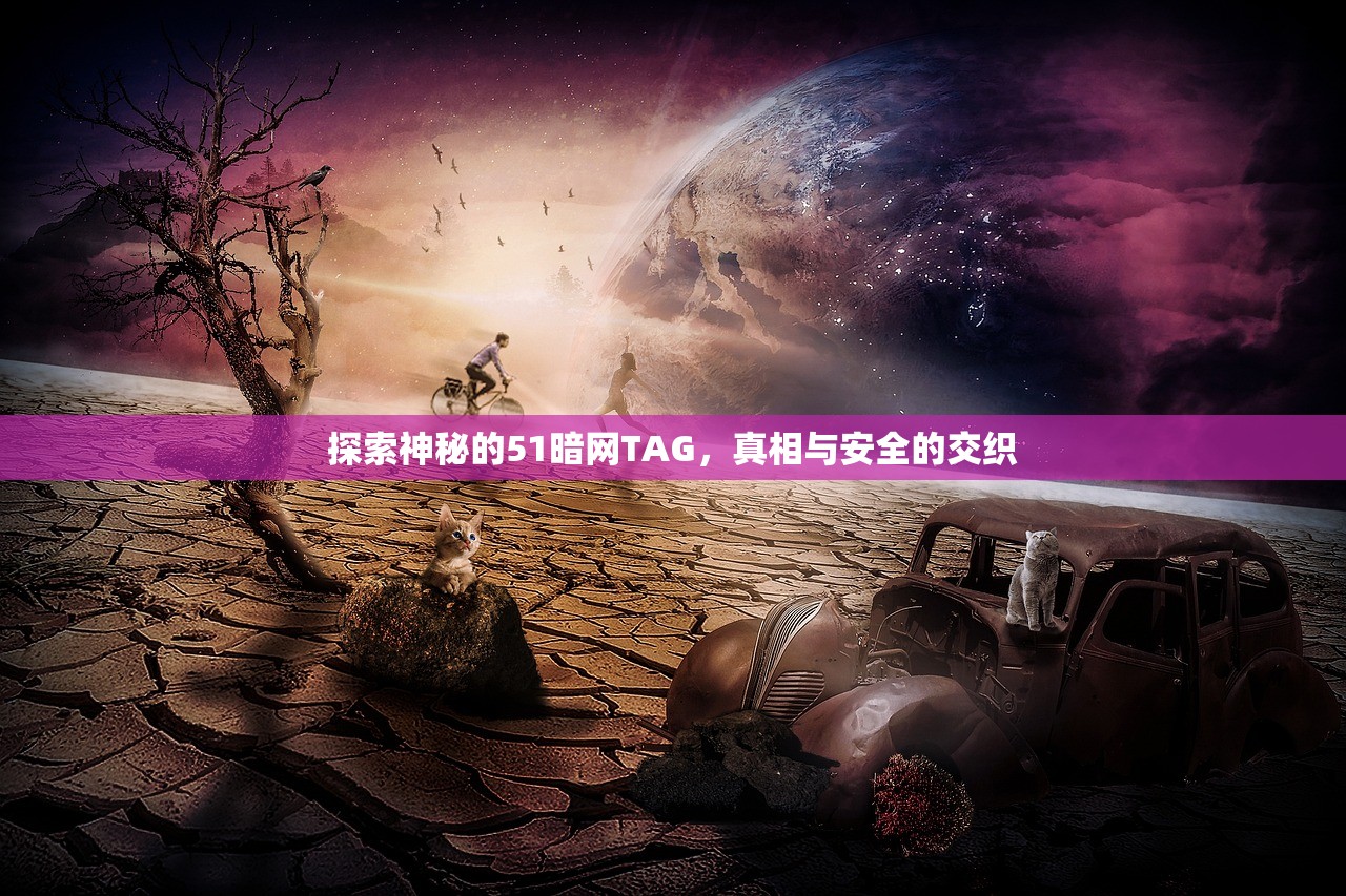探索神秘的51暗网TAG，真相与安全的交织