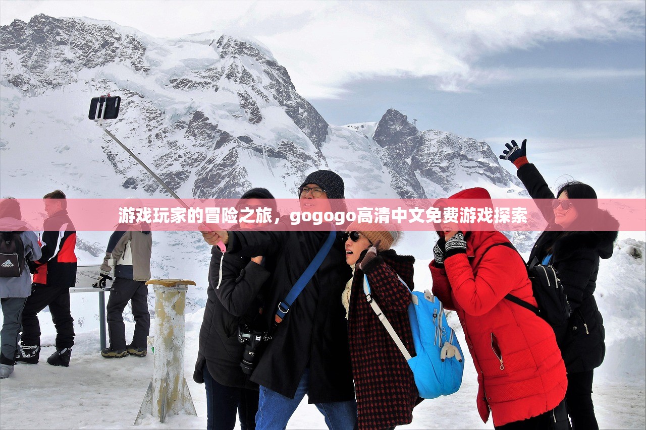 游戏玩家的冒险之旅，gogogo高清中文免费游戏探索