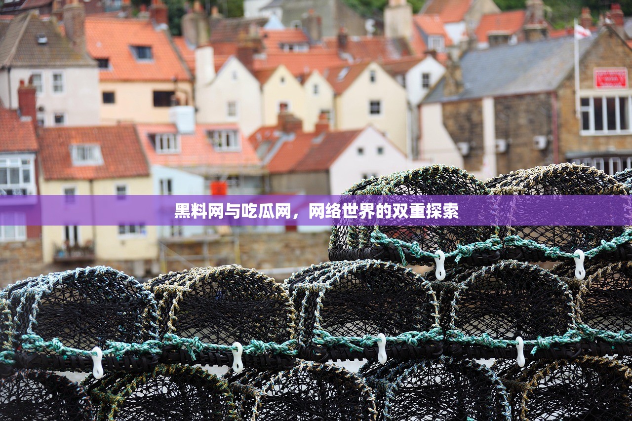 黑料网与吃瓜网，网络世界的双重探索