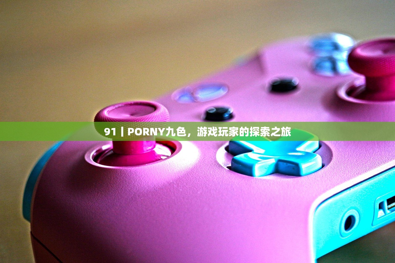 91丨PORNY九色，游戏玩家的探索之旅