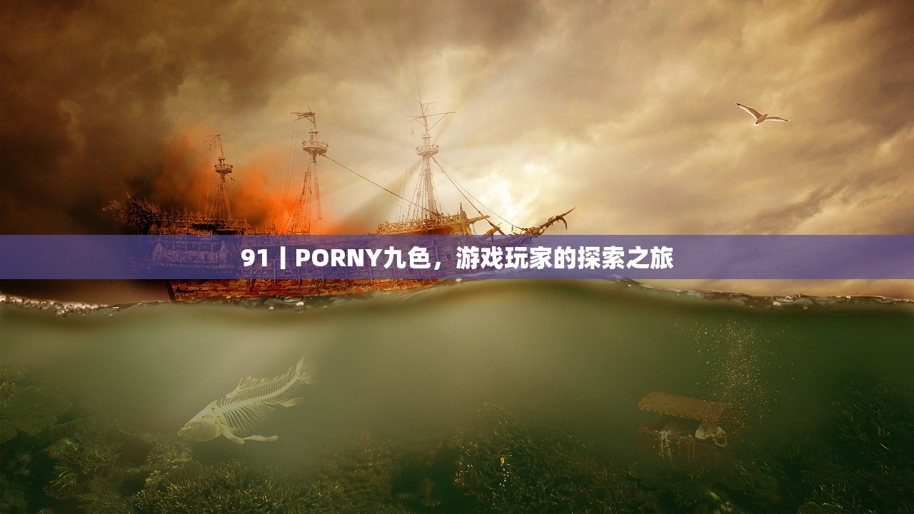 91丨PORNY九色，游戏玩家的探索之旅
