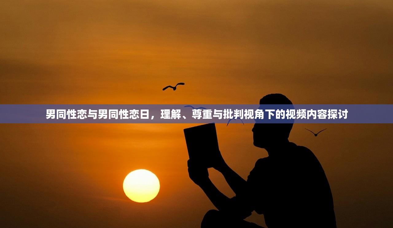 男同性恋与男同性恋日，理解、尊重与批判视角下的视频内容探讨