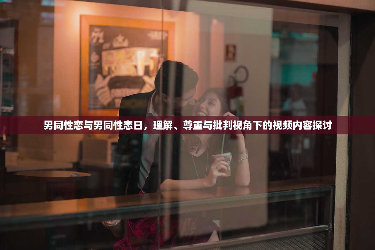 男同性恋与男同性恋日，理解、尊重与批判视角下的视频内容探讨