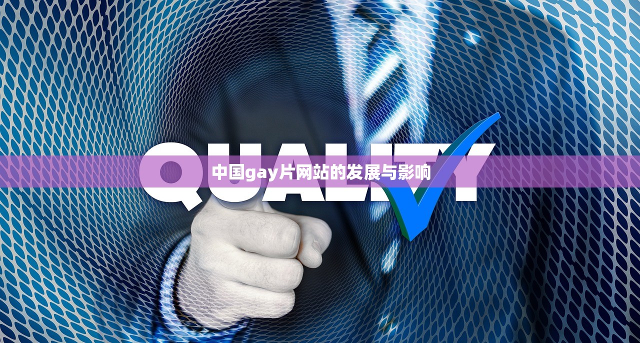 中国gay片网站的发展与影响