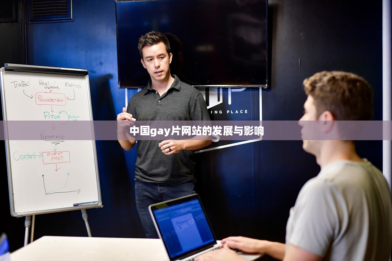中国gay片网站的发展与影响