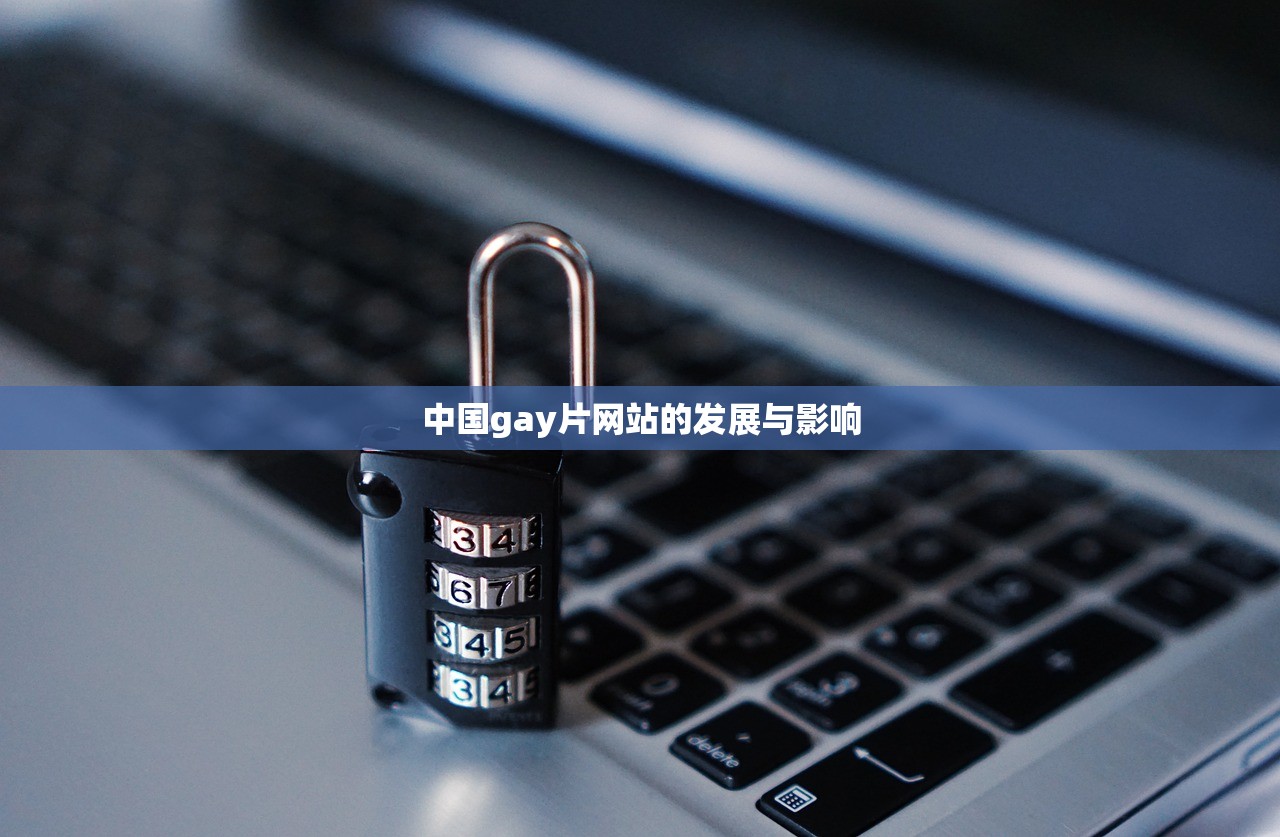 中国gay片网站的发展与影响