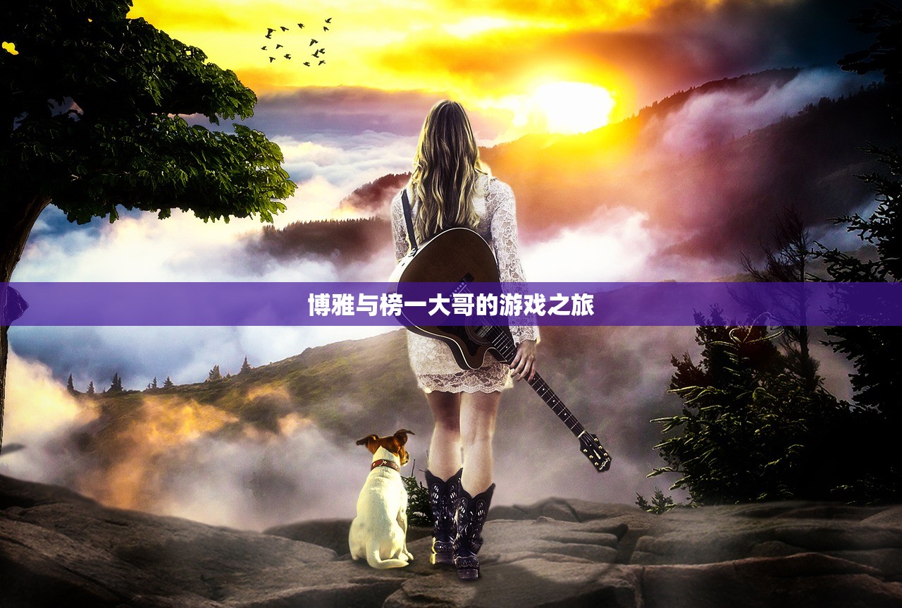 博雅与榜一大哥的游戏之旅