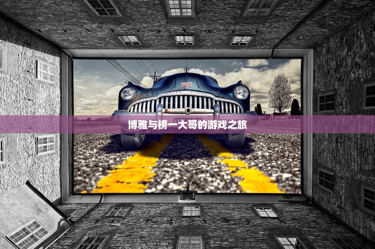博雅与榜一大哥的游戏之旅