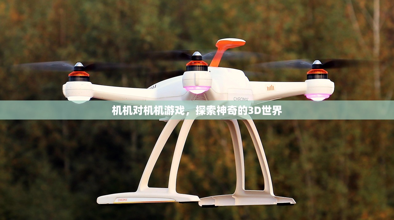 机机对机机游戏，探索神奇的3D世界