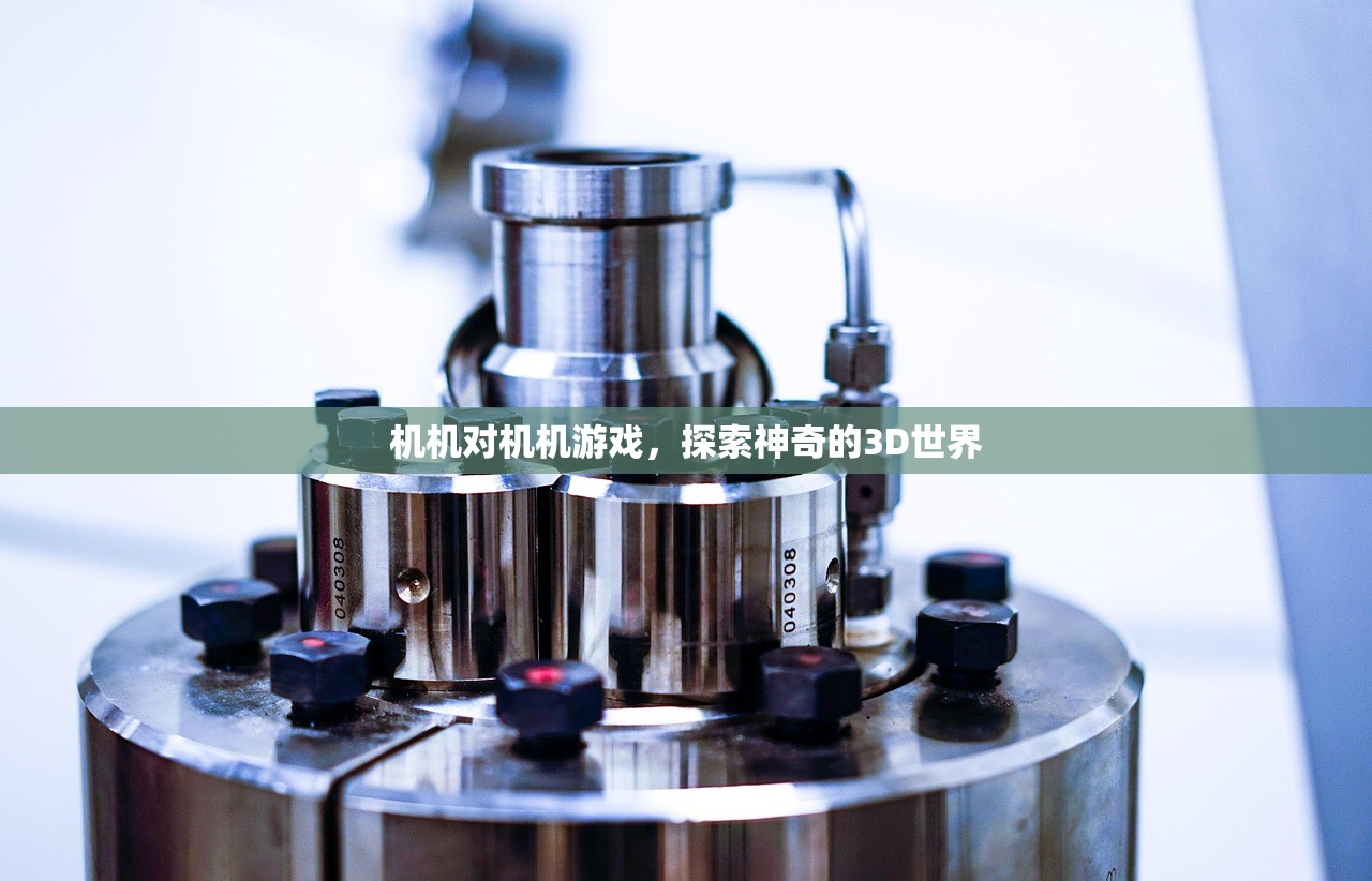 机机对机机游戏，探索神奇的3D世界