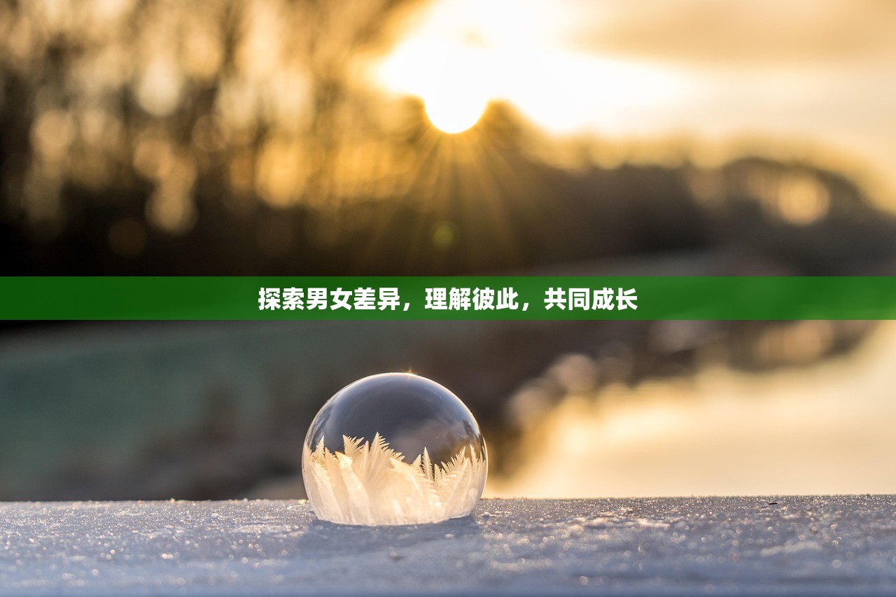 探索男女差异，理解彼此，共同成长