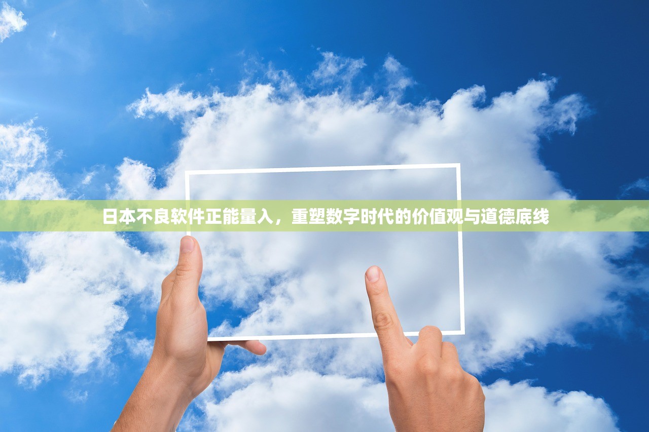 日本不良软件正能量入，重塑数字时代的价值观与道德底线