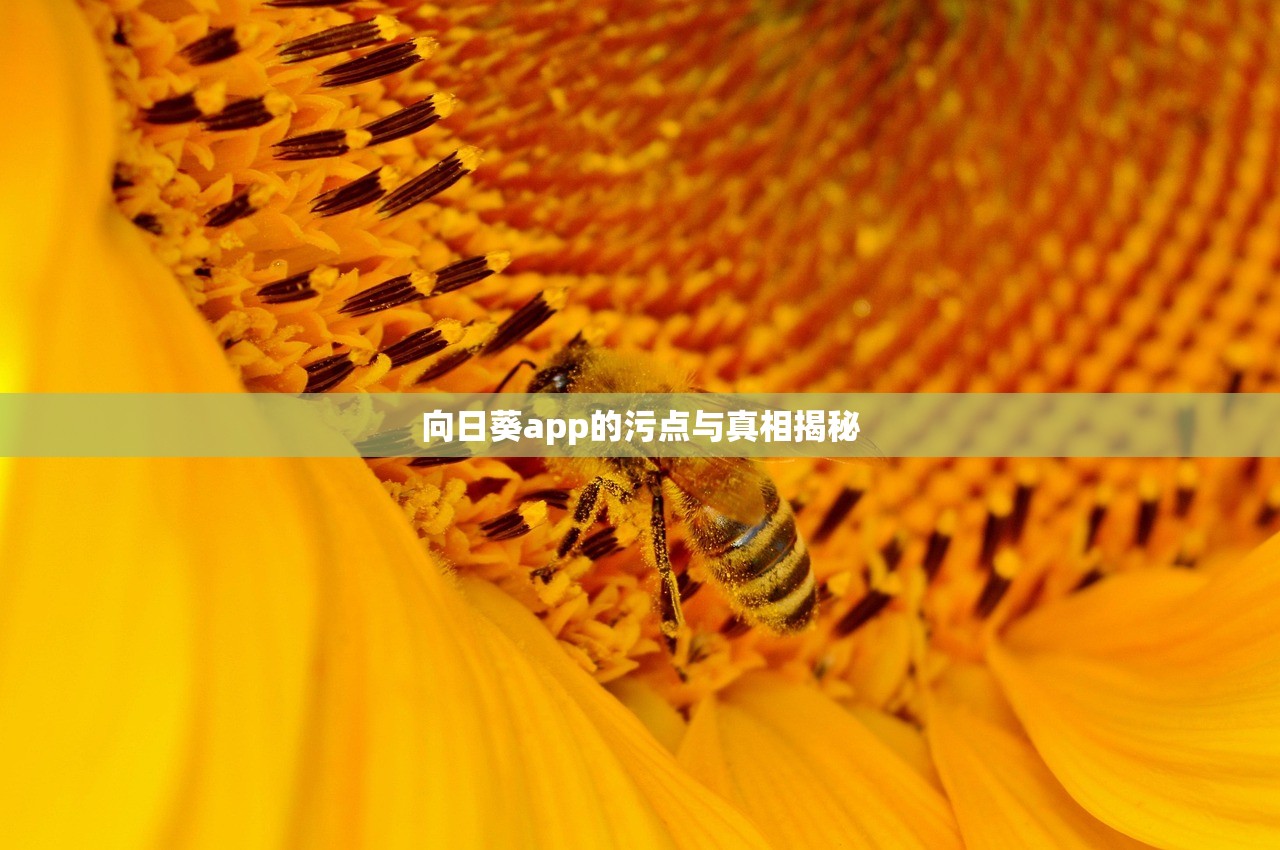 向日葵app的污点与真相揭秘