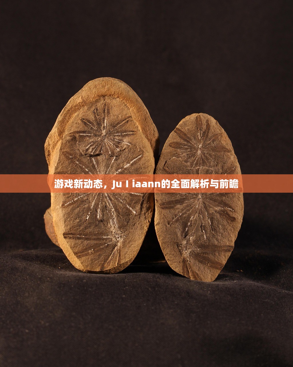 游戏新动态，JuⅠiaann的全面解析与前瞻