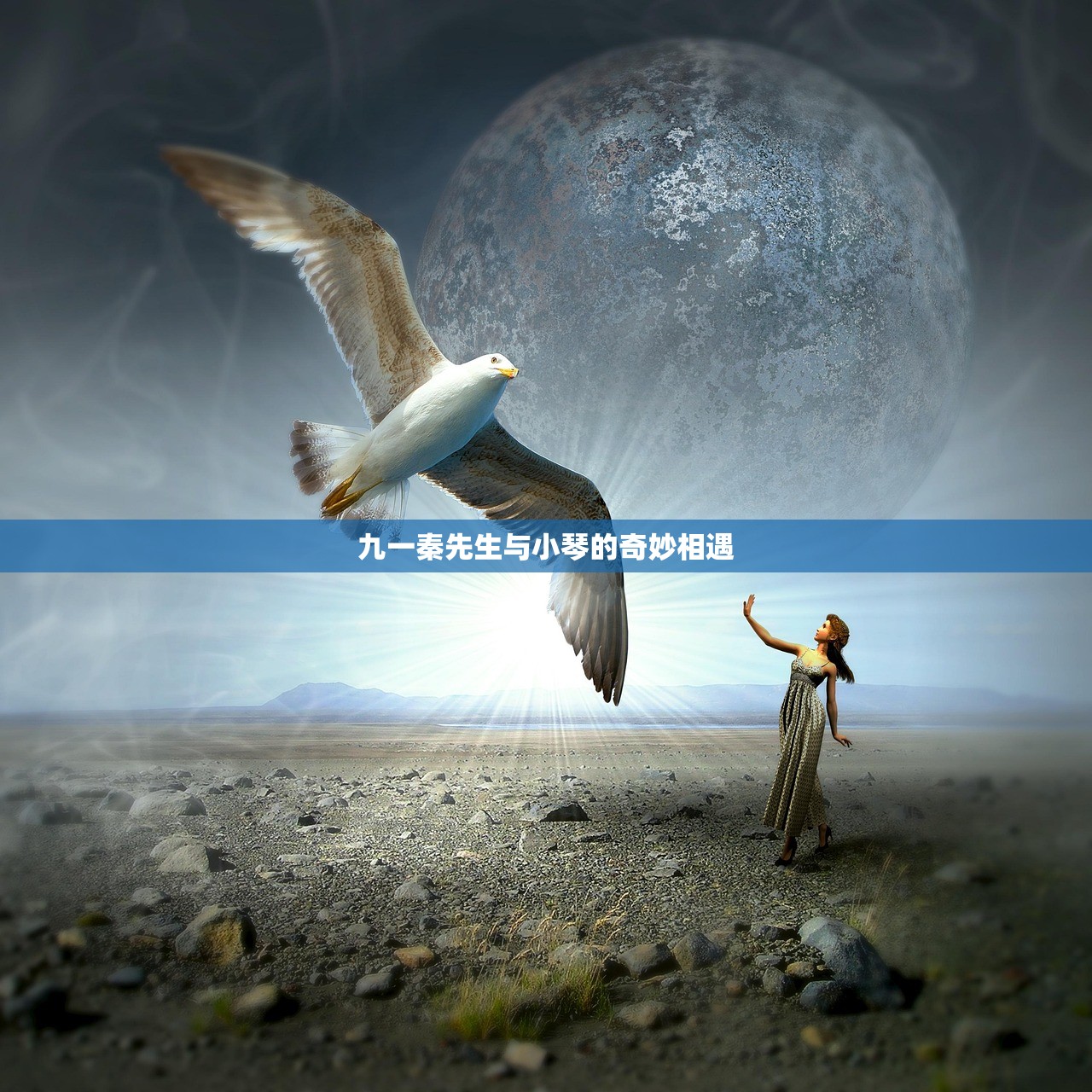 九一秦先生与小琴的奇妙相遇